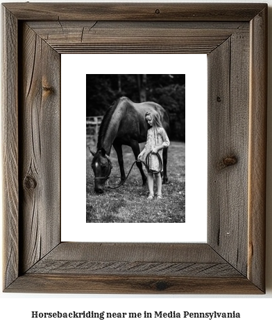 horseback riding near me in Media, Pennsylvania